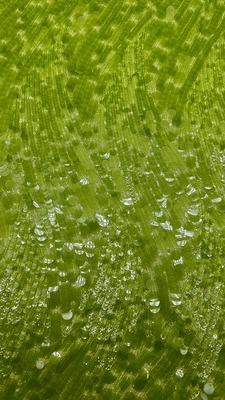 Sequin Embroidery Fabric Durable and Elegant Luxary Embroidery Fabric  Wedding Birthday Occasions Hight Quality Embroidery Sequin Lace Fabric