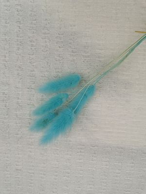 Bubble Lace Knitted Ivory Crinkle Stretch Fabric