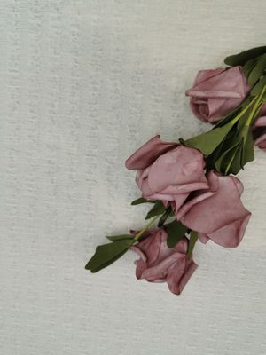 Bubble Lace Knitted Ivory Crinkle Stretch Fabric