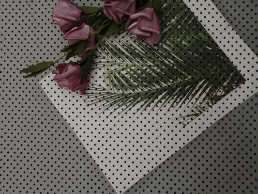 Schwarzer Dot Flocking Tulle Mesh Flocked Mesh Fabric