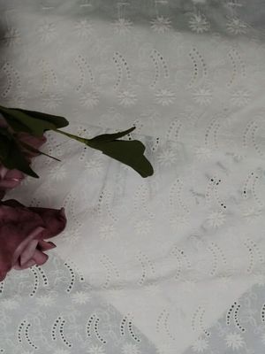 Weiche Spitze stickte Ösen-Gewebe-Baumwollstoff für Partykleid